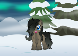 Size: 4031x2939 | Tagged: safe, artist:badumsquish, derpibooru exclusive, imported from derpibooru, oc, oc only, oc:smol, earth pony, pony, aurora borealis, butt fluff, chest fluff, ear fluff, female, fir tree, fluffy, hair over one eye, happy, leg fluff, looking at you, mare, open mouth, show accurate, smiling, smol, snow, snow mare, snowpony (species), solo, taiga pony, tree, unshorn fetlocks, winter, yakutian horse