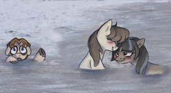 Size: 720x394 | Tagged: safe, artist:anonymous, imported from ponybooru, oc, oc only, oc:cold shoulder, oc:frosty flakes, pony, /mlp/, blushing, cute, eyes closed, female, looking at each other, mare, ponified animal photo, snowpony (species), taiga pony, unshorn fetlocks, yakutian horse