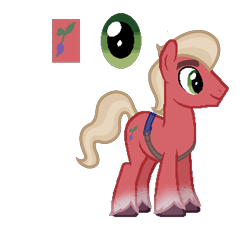 Size: 704x642 | Tagged: safe, artist:amicasecretuwu, imported from derpibooru, pony, base used, g5, g5 to g4, simple background, solo, sprout (g5), transparent background