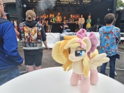 Size: 4032x3024 | Tagged: safe, artist:xeto_de, imported from derpibooru, rainbow dash, oc, oc:wingblossom, human, cigarette, everfree encore, irl, irl human, photo, plushie, smoking