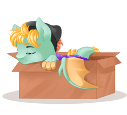 Size: 2834x2551 | Tagged: safe, artist:schokocream, imported from derpibooru, oc, oc only, dracony, dragon, hybrid, pony, beanie, box, eyes closed, hat, high res, male, pony in a box, simple background, sleeping, solo, white background