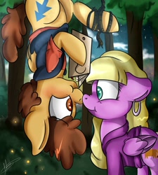 Size: 1800x2000 | Tagged: safe, artist:millefaller, imported from derpibooru, pegasus, pony, clothes, dipper pines, ear piercing, earring, female, forest, gravity falls, hoof hold, jewelry, looking at each other, male, mare, outdoors, pacifica northwest, piercing, ponified, rope, smiling, stallion, straight, tree, wings