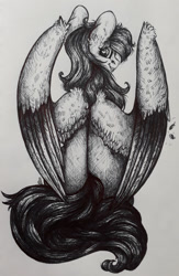Size: 702x1080 | Tagged: safe, artist:skior, imported from derpibooru, rainbow dash, pony, monochrome, solo, traditional art, two toned wings, wings