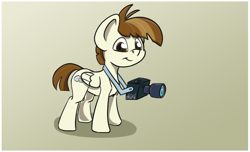 Size: 1043x633 | Tagged: safe, artist:agent-diego, imported from derpibooru, featherweight, pegasus, pony, camera, colt, male, simple background