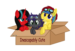 Size: 1280x877 | Tagged: safe, artist:tenderrain-art, imported from derpibooru, oc, oc only, pegasus, pony, unicorn, box, captain obvious, cute, female, goggles, male, mare, ocbetes, simple background, stallion, transparent background