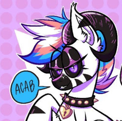 Size: 828x821 | Tagged: safe, imported from ponybooru, oc, oc:potluck, zebra, acab, politics, zebra oc