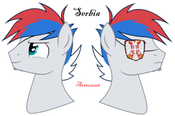 Size: 1280x848 | Tagged: safe, artist:arisunzet, imported from derpibooru, pony, bust, eyepatch, male, nation ponies, ponified, portrait, serbia, simple background, smiling, solo, stallion, transparent background