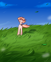 Size: 2500x3000 | Tagged: safe, artist:buy_some_apples, imported from derpibooru, oc, oc only, earth pony, pony, cloud, field, grass, grin, high res, leaf, looking up, sky, smiling, solo, wind, windswept mane