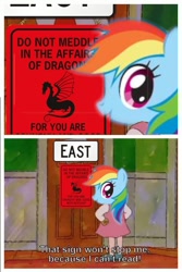 Size: 524x786 | Tagged: safe, imported from derpibooru, rainbow dash, fanfic:austraeoh, arthur, meme, sign