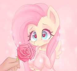 Size: 718x667 | Tagged: safe, artist:valeria_fills, imported from derpibooru, fluttershy, human, pegasus, pony, :o, blushing, bust, clothes, cute, daaaaaaaaaaaw, disembodied hand, female, flower, hand, heart eyes, hooves to the chest, looking at something, mare, offscreen character, offscreen human, open mouth, rose, shyabetes, solo focus, sweater, sweatershy, three quarter view, weapons-grade cute, wingding eyes