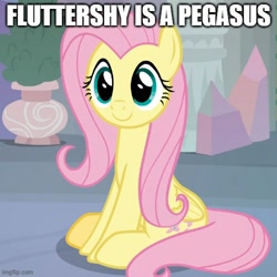 Size: 500x500 | Tagged: safe, edit, edited screencap, imported from derpibooru, screencap, fluttershy, pegasus, pony, non-compete clause, season 8, spoiler:s08, c:, captain obvious, caption, cropped, cute, female, image macro, imgflip, impact font, mare, shyabetes, sitting, smiling, solo, text