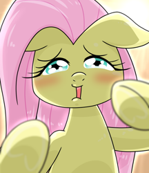 Size: 640x740 | Tagged: safe, alternate version, artist:batipin, imported from derpibooru, fluttershy, pegasus, pony, blushing, bust, female, floppy ears, front view, full face view, looking at you, mare, open mouth, solo