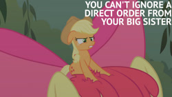 Size: 1280x720 | Tagged: safe, edit, edited screencap, editor:quoterific, imported from derpibooru, screencap, apple bloom, applejack, earth pony, pony, bridle gossip, season 1, apple bloom's bow, applejack's hat, appletini, bow, cowboy hat, female, filly, hair bow, hat, mare, micro, offscreen character