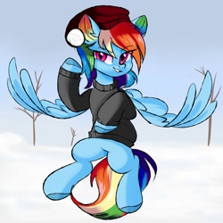 Size: 2000x2000 | Tagged: safe, artist:thieftea, imported from derpibooru, rainbow dash, pegasus, pony, clothes, high res, rainbow ears, snow, snowball, solo, sweater, winter, winter hat