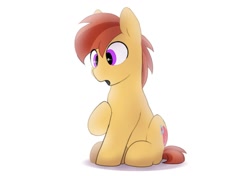 Size: 1024x722 | Tagged: safe, artist:mochi_nation, imported from derpibooru, oc, oc only, earth pony, pony, solo