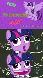 Size: 500x892 | Tagged: safe, edit, edited screencap, imported from derpibooru, screencap, twilight sparkle, alicorn, pony, best gift ever, bill wurtz, captain obvious, chalkboard, crossing the memes, educational, faic, meme, pudding face, starlight says bravo, style emulation, twilight sparkle (alicorn)