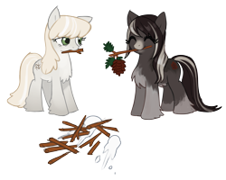 Size: 2723x2176 | Tagged: safe, artist:marbo, oc, oc only, oc:forest ken, oc:pine ponder, pony, duo, female, mare, pinecone, simple background, snowpony (species), solo, stick, transparent background