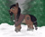 Size: 3500x2900 | Tagged: safe, artist:hotcurrykatsu, imported from derpibooru, oc, oc only, earth pony, pony, facial hair, forest, fur, high res, snow, snowpony (species), solo