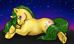 Size: 900x540 | Tagged: safe, artist:kinked, imported from derpibooru, magic star, earth pony, female, g1, looking at you, night