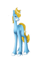 Size: 3423x5000 | Tagged: safe, artist:fantisai, imported from derpibooru, oc, oc only, earth pony, pony, earth pony oc, hair over one eye, simple background, solo, transparent background, unshorn fetlocks