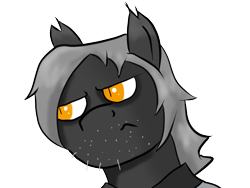 Size: 1024x768 | Tagged: safe, artist:tranzmuteproductions, imported from derpibooru, oc, oc only, oc:tranzmute, bat pony, pony, bat pony oc, bust, clothes, frown, male, simple background, solo, stallion, transparent background