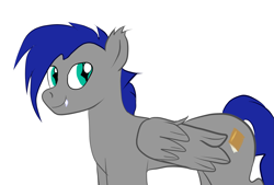 Size: 2039x1378 | Tagged: safe, artist:tranzmuteproductions, imported from derpibooru, oc, oc only, pegasus, pony, blue mane, ear fluff, ear tufts, fangs, folded wings, male, pegasus oc, simple background, slit pupils, smiling, solo, stallion, teal eyes, white background, wings