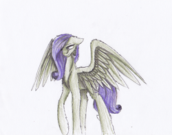 Size: 1140x898 | Tagged: safe, artist:penrosa, imported from derpibooru, oc, oc only, pegasus, pony, pegasus oc, simple background, solo, traditional art, white background, wings