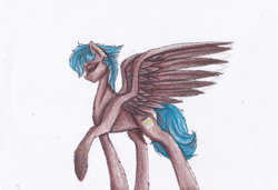 Size: 1297x886 | Tagged: safe, artist:penrosa, imported from derpibooru, oc, oc only, pegasus, pony, eyes closed, pegasus oc, raised hoof, simple background, solo, traditional art, white background, wings