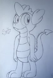 Size: 650x960 | Tagged: safe, artist:millefaller, imported from derpibooru, spike, dragon, lineart, male, smiling, solo, traditional art