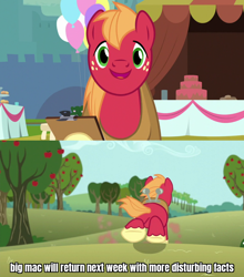 Size: 1280x1457 | Tagged: safe, edit, edited screencap, imported from derpibooru, screencap, big macintosh, pony, no second prances, the last problem, caption, horse collar, image macro, meme, solo, template, text