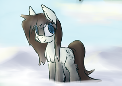 Size: 835x587 | Tagged: safe, artist:firecracker, imported from derpibooru, imported from ponybooru, oc, oc only, oc:frosty flakes, pony, chest fluff, ear fluff, ears, female, fluffy, looking at something, mare, outdoors, snow, snow mare, snowpony (species), solo, taiga pony, yakutian horse