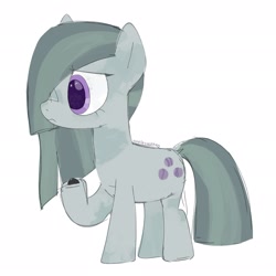 Size: 2048x2048 | Tagged: safe, artist:omelettepony, imported from derpibooru, boulder (pet), marble pie, earth pony, pony, boulder (g4), high res, marble pie is not amused, rock, simple background, solo, unamused, white background