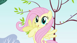 Size: 1920x1080 | Tagged: safe, imported from derpibooru, screencap, fluttershy, bird, pegasus, pony, friendship is magic, season 1, female, implied flutterspike, implied shipping, implied straight, mare, open mouth, outdoors, raised hoof, smiling, solo, songbird, tree