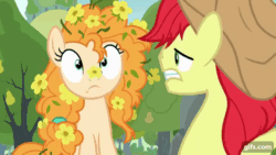 Size: 640x360 | Tagged: safe, imported from derpibooru, screencap, bright mac, pear butter, earth pony, pony, season 7, the perfect pear, animated, cute, daaaaaaaaaaaw, flower, flower in hair, flowers everywhere, gif, gifs.com, laughing, pearabetes