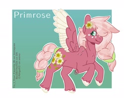 Size: 1900x1500 | Tagged: safe, artist:bestbithe15th, imported from derpibooru, oc, oc only, oc:primrose, pegasus, pony, colored wings, colored wingtips, female, flower, flower in hair, freckles, hair over one eye, mare, offspring, parent:big macintosh, parent:fluttershy, parents:fluttermac, solo, unshorn fetlocks, wings