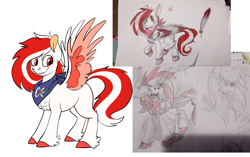 Size: 3500x2200 | Tagged: safe, artist:xekinise, imported from derpibooru, oc, oc only, alicorn, pegasus, pony, bandana, fluffy, high res, missing cutie mark, photo, smiling, solo, wip, yelling