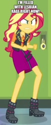 Size: 500x1210 | Tagged: safe, edit, edited screencap, imported from derpibooru, screencap, sunset shimmer, equestria girls, equestria girls series, forgotten friendship, caption, image macro, solo, text