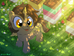 Size: 800x600 | Tagged: safe, artist:rangelost, imported from derpibooru, oc, oc only, oc:honeydipper, insect, pony, unicorn, crepuscular rays, flower, grass, insect on nose, solo