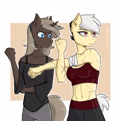 Size: 4096x4096 | Tagged: safe, artist:shallowwin, imported from derpibooru, oc, oc:note clip, oc:parch well, anthro, earth pony, unicorn, abs, breasts, clothes, midriff, scar, sports bra, tomboy