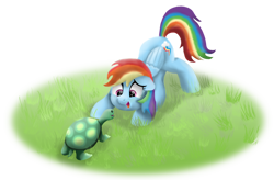 Size: 1280x838 | Tagged: safe, artist:pony-thunder, imported from derpibooru, rainbow dash, tank, pegasus, pony, tortoise, cute, dashabetes, face down ass up, floppy ears, grass, looking at each other, open mouth, open smile, simple background, smiling, transparent background