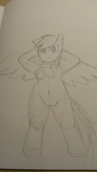 Size: 722x1280 | Tagged: safe, artist:kushina13, imported from derpibooru, rainbow dash, pegasus, pony, arm behind head, belly button, book, female, lying down, mare, on back, solo, spread wings, traditional art, wings, wip