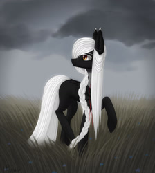 Size: 1280x1428 | Tagged: safe, artist:ajaxorsomething, imported from derpibooru, oc, oc only, earth pony, pony, black coat, braid, cloud, cloudy, female, grass, long mane, looking back, mare, solo, white hair