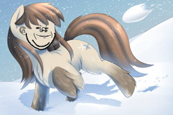 Size: 3000x2000 | Tagged: safe, artist:thebatfang, edit, imported from derpibooru, oc, oc only, oc:frosty flakes, earth pony, pony, chest fluff, ear fluff, earth pony oc, female, fluffy, gem, happy, high res, leg fluff, mare, meme, my eyes, raised hoof, raised tail, senkon, smiling, snow, snow mare, snowball, snowfall, solo, standing on two hooves, swedish, tail, teeth, unshorn fetlocks, wat, wojak, yakutian horse