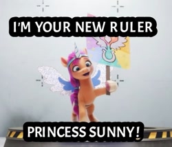 Size: 720x616 | Tagged: safe, edit, edited screencap, imported from derpibooru, screencap, sunny starscout, earth pony, pony, spoiler:my little pony: a new generation, 3d, alicorn costume, clothes, costume, cute, fake horn, fake wings, female, g5, hilarious in hindsight, mare, my little pony: a new generation, sign