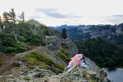 Size: 2300x1534 | Tagged: safe, artist:natureshy, imported from derpibooru, fluttershy, pony, clothes, irl, mount rainier, photo, plushie, socks, solo, striped socks, tolmie peak