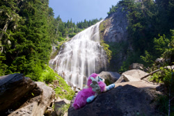 Size: 2300x1534 | Tagged: safe, artist:natureshy, imported from derpibooru, fluttershy, pony, clothes, irl, photo, plushie, socks, solo, spray falls, striped socks, waterfall