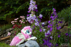 Size: 5184x3456 | Tagged: safe, artist:lanacraft, artist:natureshy, imported from derpibooru, fluttershy, pony, flower, irl, photo, plushie, solo