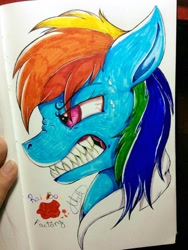 Size: 720x960 | Tagged: safe, artist:millefaller, imported from derpibooru, rainbow dash, pegasus, pony, fanfic:rainbow factory, bust, fanfic art, female, grin, gritted teeth, mare, sharp teeth, signature, smiling, teeth, traditional art