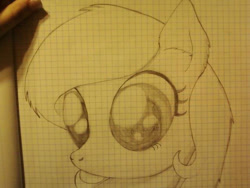 Size: 640x480 | Tagged: safe, artist:zombietator, imported from derpibooru, oc, oc only, oc:claire, earth pony, pony, bust, earth pony oc, eyelashes, female, graph paper, lineart, mare, solo, traditional art