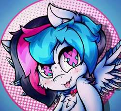 Size: 3169x2894 | Tagged: safe, artist:canvymamamoo, imported from derpibooru, oc, oc only, oc:echy, pegasus, pony, abstract background, chest fluff, circle background, collar, ear fluff, fangs, freckles, high res, looking at you, male, open mouth, smiling, solo, spread wings, stallion, tongue out, wingding eyes, wings